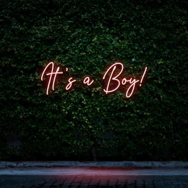 it's a boy neon sign